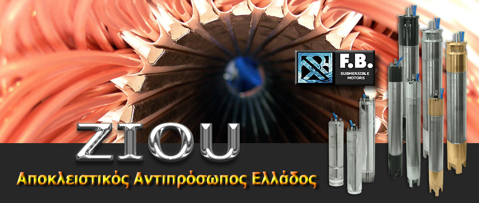 6. ZIOU  - apokleistikos antiprosopos Ellados